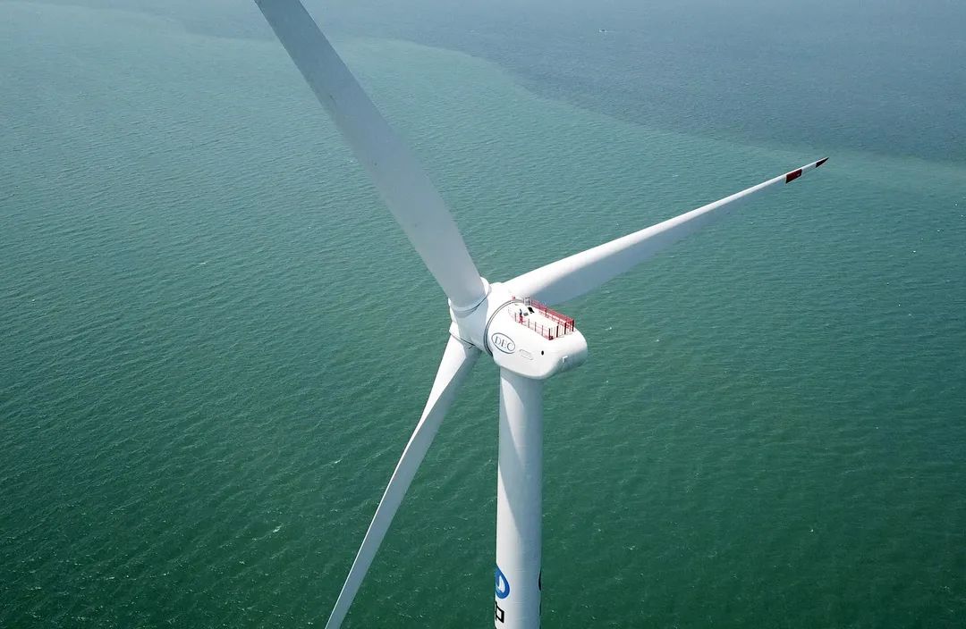 1652324495589535.jpg 2.jpg