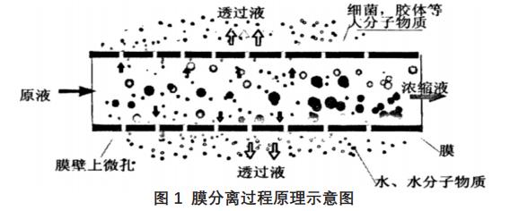 電鍍廢水處理技術 電鍍廢水處理技術